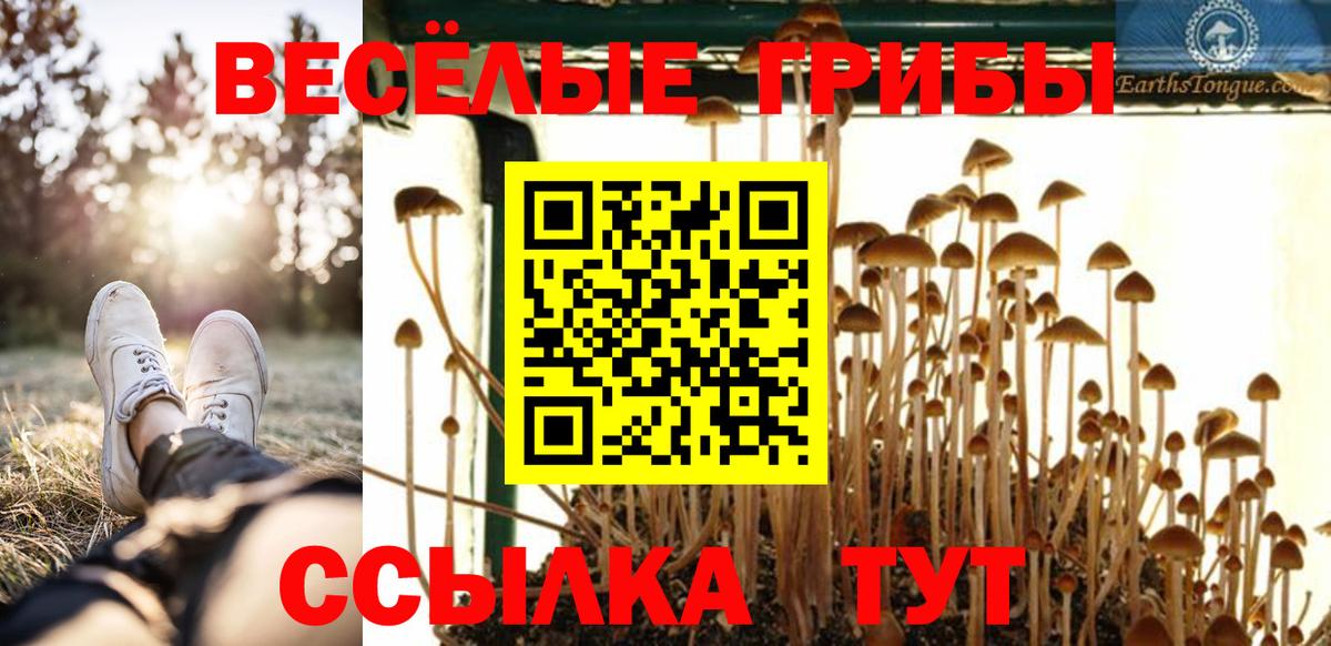 закладка  Вход с VPN  Новочеркасск  Галлюциногенные грибы Magic Shrooms 