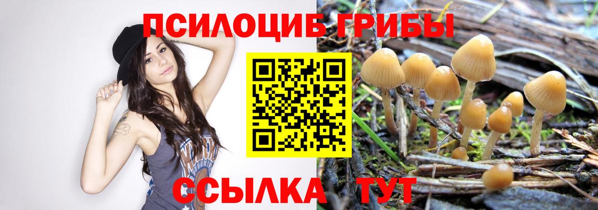 Псилоцибиновые грибы GOLDEN TEACHER Новочеркасск